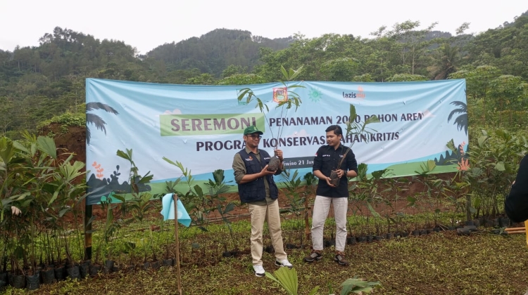 Tanam Pohon Aren, Ikhtiar Lazismu Untuk Selamatkan Lahan Kritis